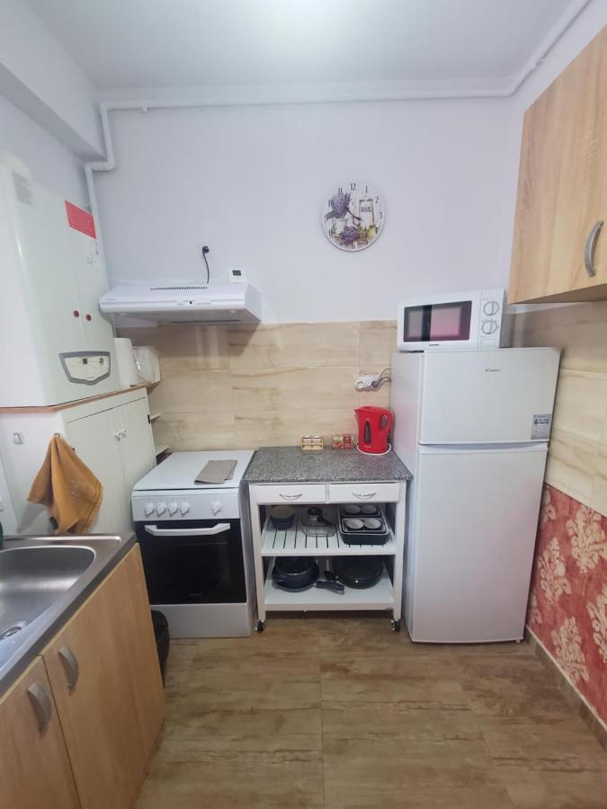 Morii Lake Special Apartment ブカレスト エクステリア 写真